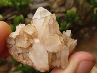 Natural Small Mixed Quartz Clusters  x 25 From Madagascar - TopRock