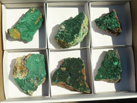 Natural Micro Botryoidal Crystalline Malachite Specimens  x 6 From Congo - Toprock Gemstones and Minerals 