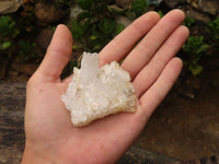 Natural Small Mixed Quartz Clusters  x 25 From Madagascar - TopRock