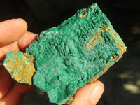 Natural Micro Botryoidal Crystalline Malachite Specimens  x 6 From Congo - Toprock Gemstones and Minerals 