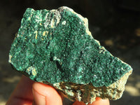 Natural Micro Botryoidal Crystalline Malachite Specimens  x 6 From Congo - Toprock Gemstones and Minerals 