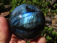 Polished Flashy Blue & Gold Labradorite Spheres  x 6 From Madagascar - Toprock Gemstones and Minerals 