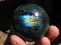 Polished Flashy Blue & Gold Labradorite Spheres  x 6 From Madagascar - Toprock Gemstones and Minerals 