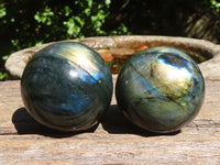 Polished Flashy Blue & Gold Labradorite Spheres  x 6 From Madagascar - Toprock Gemstones and Minerals 