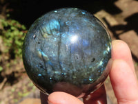 Polished Flashy Blue & Gold Labradorite Spheres  x 6 From Madagascar - Toprock Gemstones and Minerals 