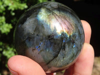 Polished Flashy Blue & Gold Labradorite Spheres  x 6 From Madagascar - Toprock Gemstones and Minerals 