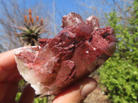 Natural Red Hematoid Quartz Specimens x 12 From Karoi, Zimbabwe