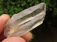 Natural Single Clear Quartz Crystals  x 73 From Madagascar - TopRock