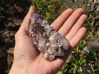 Natural Red Hematoid Quartz Specimens x 12 From Karoi, Zimbabwe