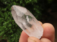 Natural Single Clear Quartz Crystals  x 73 From Madagascar - TopRock