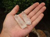 Natural Single Clear Quartz Crystals  x 73 From Madagascar - TopRock