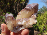 Natural Red Hematoid Quartz Specimens x 12 From Karoi, Zimbabwe