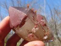 Natural Red Hematoid Quartz Specimens x 12 From Karoi, Zimbabwe