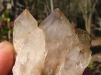 Natural Cascading Smokey Quartz Clusters x 6 From Luena, Congo