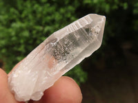 Natural Single Clear Quartz Crystals  x 73 From Madagascar - TopRock