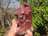 Natural Red Hematoid Quartz Specimens x 12 From Karoi, Zimbabwe