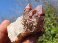 Natural Red Hematoid Quartz Specimens x 12 From Karoi, Zimbabwe