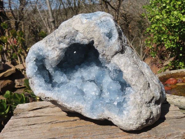 Natural Blue Celestite Geode Specimen  x 1 From Sakoany, Madagascar