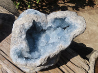 Natural Blue Celestite Geode Specimen  x 1 From Sakoany, Madagascar