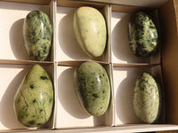 Polished Green Leopard Stone Gallets  x 6 From Zimbabwe