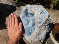 Natural Blue Celestite Geode Specimen  x 1 From Sakoany, Madagascar