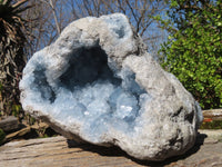 Natural Blue Celestite Geode Specimen  x 1 From Sakoany, Madagascar