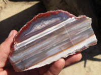 Polished River Agate Nodules  x 2 From Sashe River, Zimbabwe