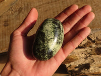 Polished Green Leopard Stone Gallets  x 6 From Zimbabwe