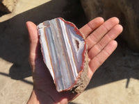 Polished River Agate Nodules  x 2 From Sashe River, Zimbabwe