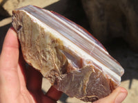 Polished River Agate Nodules  x 2 From Sashe River, Zimbabwe