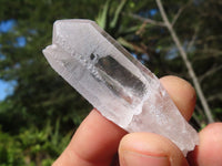 Natural Single Clear Quartz Crystals  x 2.2 Kg Lot From Zambia - Toprock Gemstones and Minerals 