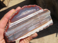 Polished River Agate Nodules  x 2 From Sashe River, Zimbabwe