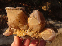 Natural Red Hematoid Quartz Clusters x 2 From Karoi, Zimbabwe