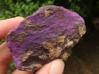 Natural Selected Rough Purpurite Specimens  x 12 From Namibia - TopRock