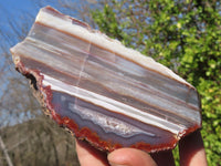 Polished River Agate Nodules  x 2 From Sashe River, Zimbabwe