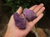 Natural Selected Rough Purpurite Specimens  x 12 From Namibia - TopRock