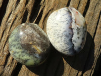 Polished White Dendritic Opal Palm Stones  x 12 From Madagascar - Toprock Gemstones and Minerals 