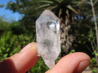 Natural Single Clear Quartz Crystals  x 2.2 Kg Lot From Zambia - Toprock Gemstones and Minerals 