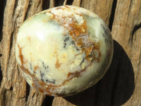 Polished White Dendritic Opal Palm Stones  x 12 From Madagascar - Toprock Gemstones and Minerals 