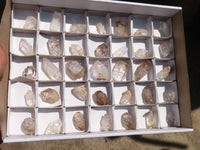 Natural Bright Smokey Brandberg Quartz Crystals x 35 From Brandberg, Namibia