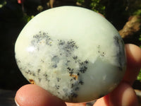 Polished White Dendritic Opal Palm Stones  x 12 From Madagascar - Toprock Gemstones and Minerals 