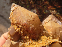 Natural Red Hematoid Quartz Clusters x 2 From Karoi, Zimbabwe