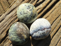 Polished White Dendritic Opal Palm Stones  x 12 From Madagascar - Toprock Gemstones and Minerals 