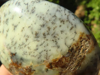 Polished White Dendritic Opal Palm Stones  x 12 From Madagascar - Toprock Gemstones and Minerals 