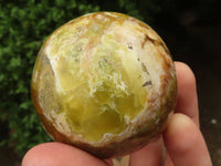 Polished Gorgeous Selection Of Green Opal Spheres  x 3 From Madagascar - TopRock