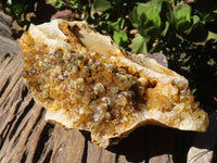 Natural Large Golden Limonite / Lemonite Quartz Cluster  x 1 From Zambia - Toprock Gemstones and Minerals 