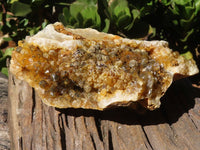 Natural Large Golden Limonite / Lemonite Quartz Cluster  x 1 From Zambia - Toprock Gemstones and Minerals 