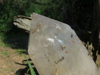 Natural Angolan Extra Extra Large Quartz Cluster x 1 From Angola - TopRock