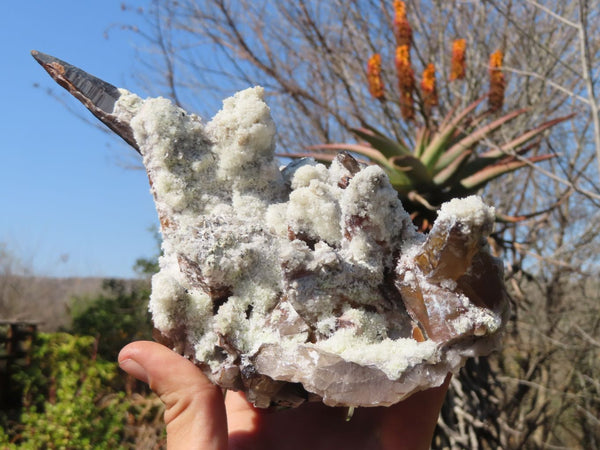 Natural Fluorescent Hyalite Opal Specimen  x 1 From Erongo, Namibia