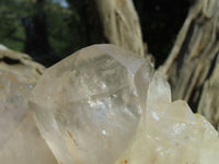 Natural Angolan Extra Extra Large Quartz Cluster x 1 From Angola - TopRock